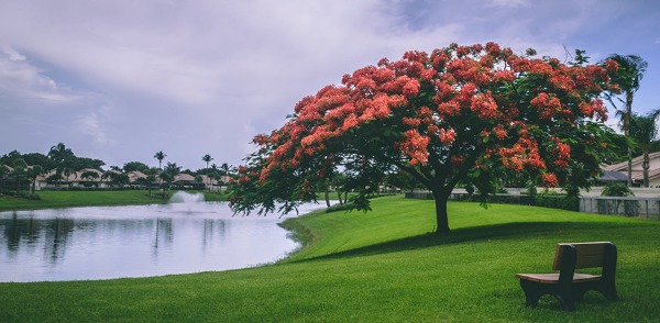 疫情過(guò)后才明白，將來(lái)老了一定要回農(nóng)村
